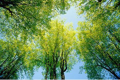 复古策略探索游戏《SKALD：攻打黑修院》现已正式推出 Steam获特别好评